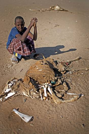 A young boy with what remains of his herd. Kate Holt.