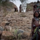 Afar girls pose for a photograph outside their home in their community of Geega. Kate Holt.