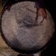 An elderly woman sifts through rice at her home in the village of Androranga Vola. Kate Holt.