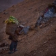 An old man carries food he has just harvested in a basket on his back up a hillside. Kate Holt.