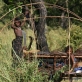 Young Ambororo girls build a traditional shelter at the side of river Ayii near village Bari. Kate Holt.