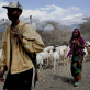 In Southern Ethiopia and Northern Kenya, the severe drought has led to increased pressure on grazing land. Kate Holt.