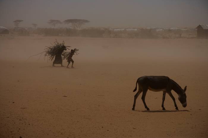 Two young girls walk through a dust storm with firewood on their backs. Kate Holt.