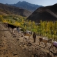 Small houses dot the landscape in valleys in which Medair have WASH projects throughout Bamyan. Kate Holt.