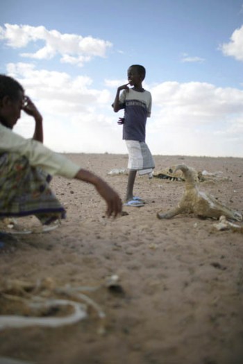 A cattle herder with his son and the remains of their herd. Kate Holt.