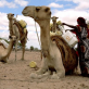 Care_International_II_09