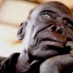 An elderly man, blinded as a result of leprosy he contracted over forty years ago. Kate Holt.