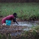 A woman drinks water with her hands from a swamp near to an emergency food distribution site. Kate Holt.