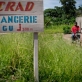DRC_SISTER ANGELIQUE
